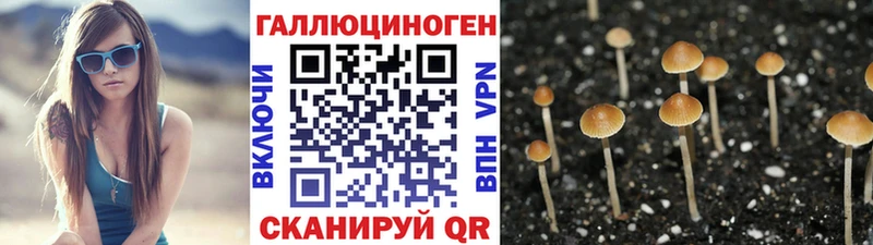 Галлюциногенные грибы Psilocybine cubensis  hydra как зайти  Электроугли 